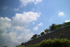 IMG_0936